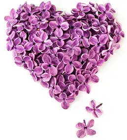 violet-love-superstitions-gemstones.webp