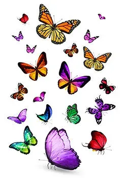 butterflies-history-facts-jewelry.webp