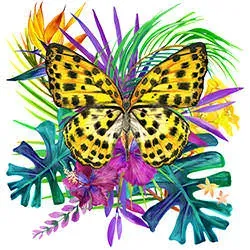 butterfly-habitat-tropical.webp