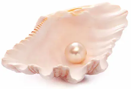 history-renaissance-jewelry-pearl.webp