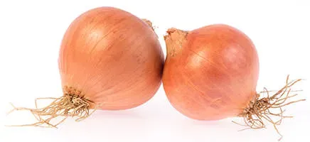 onions-onion-ring-history-recipe.webp