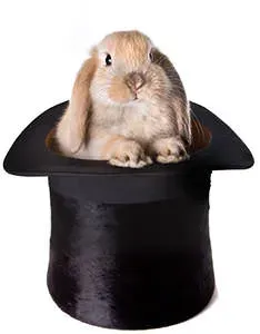 rabbit_in_hat.webp