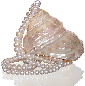 renaissance-jewelry-history-pearls-gemstones.webp