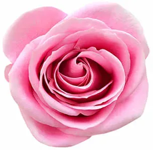 rhodonite-rose-color-origin.webp
