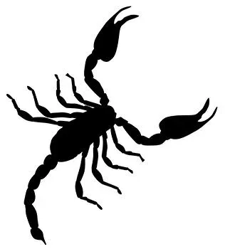 scorpion-engraving-gemstone.webp