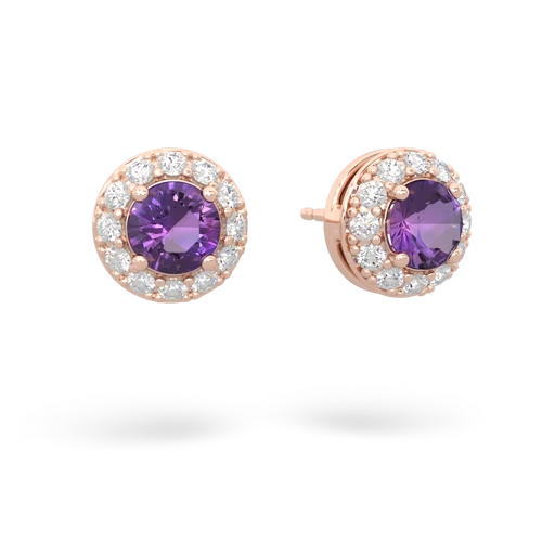 amethyst classic halo earrings