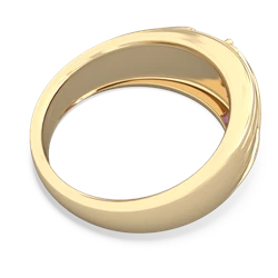 Amethyst Men's Streamline 14K Yellow Gold ring R0460