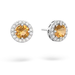 Citrine Halo 14K White Gold earrings E5320