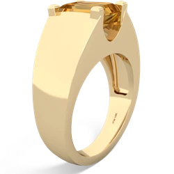 Citrine Men's 14K Yellow Gold ring R1836
