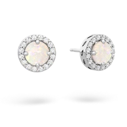 Opal Halo 14K White Gold earrings E5320