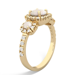 Garnet Regal Halo 14K Yellow Gold ring R5350