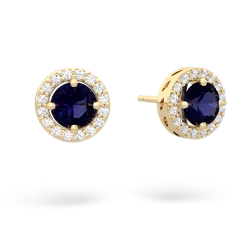 Sapphire Halo 14K Yellow Gold earrings E5320