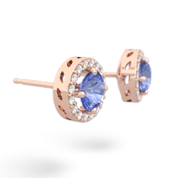 Tanzanite Halo 14K Rose Gold earrings E5320