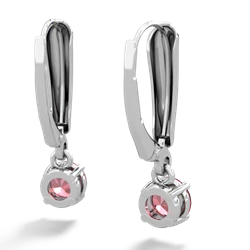 Pink Tourmaline 5Mm Round Lever Back 14K White Gold earrings E2785