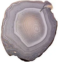 agate_grey_shebo.webp