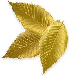 leaves-ancient.webp