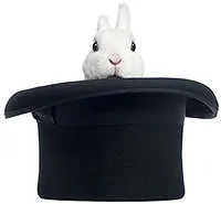 rabbit_hat.webp