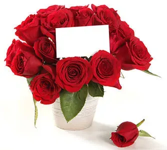 red-roses-jewelry-valentines-day-gifts.webp