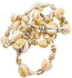 shell-necklace.webp