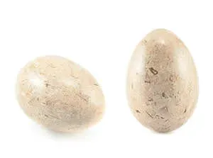 stone_eggs.webp