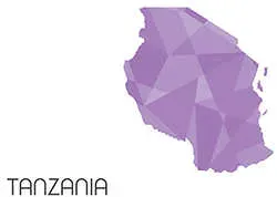 tanzania-tanzanite-gemstone-birthstone.webp