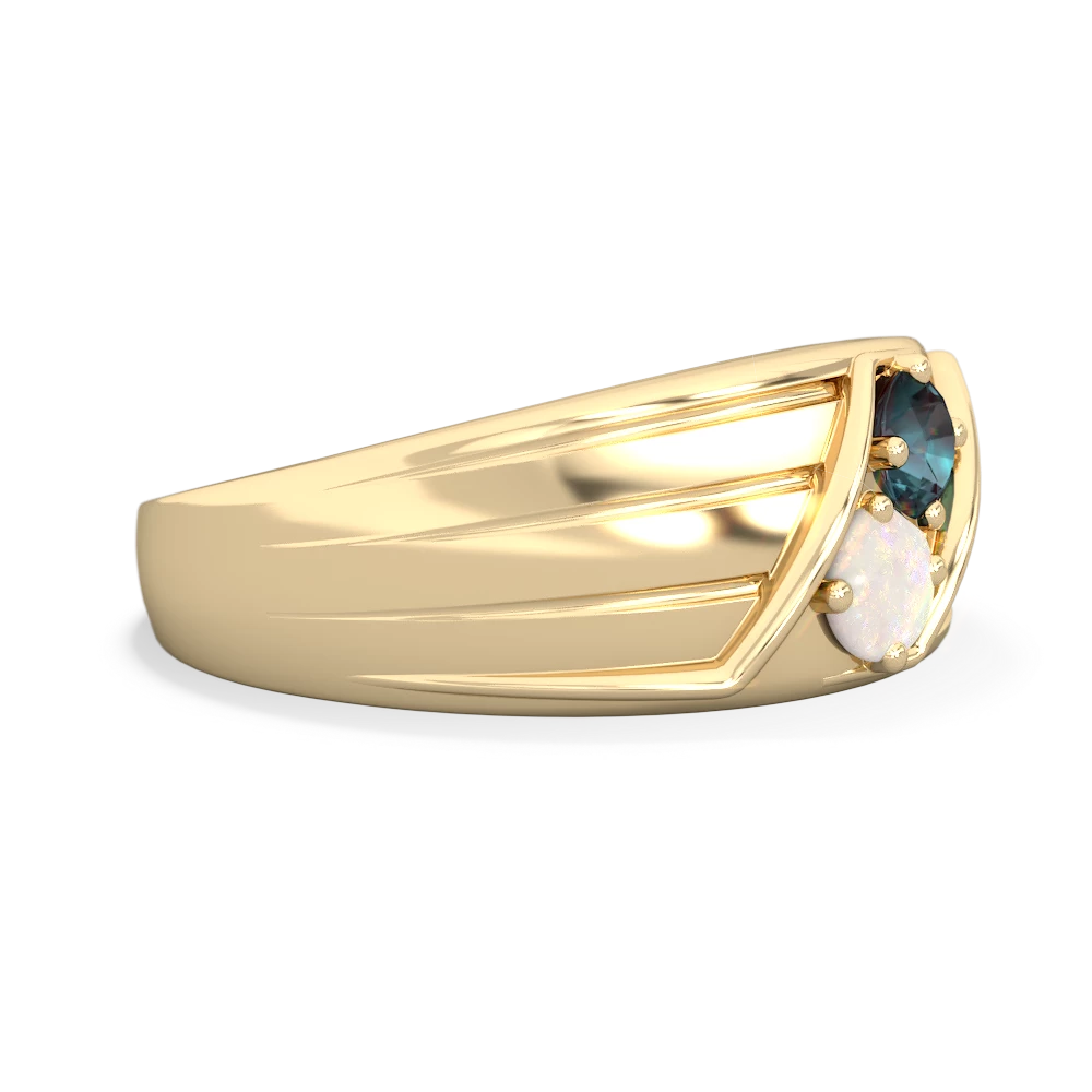 Alexandrite Men's Streamline 14K Yellow Gold ring R0460