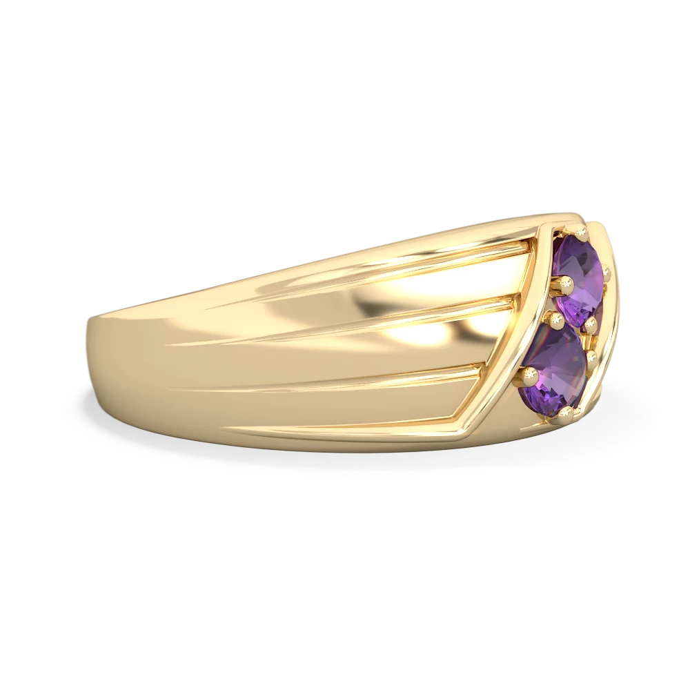 Amethyst Men's Streamline 14K Yellow Gold ring R0460