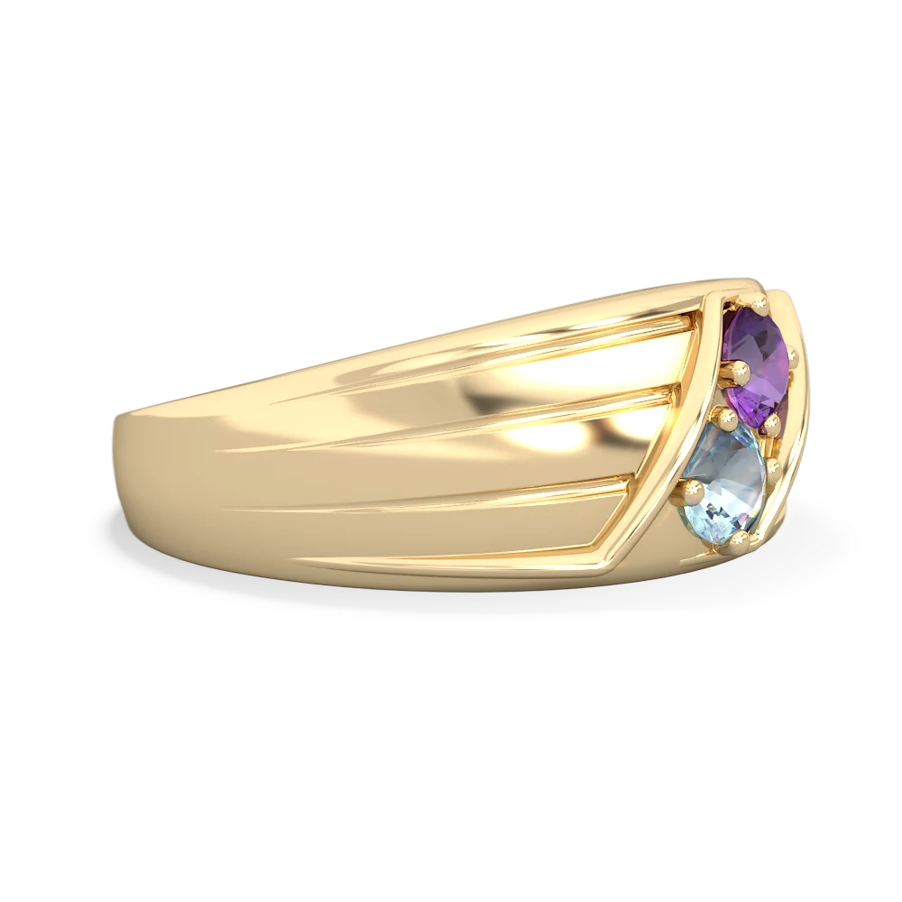 Amethyst Men's Streamline 14K Yellow Gold ring R0460