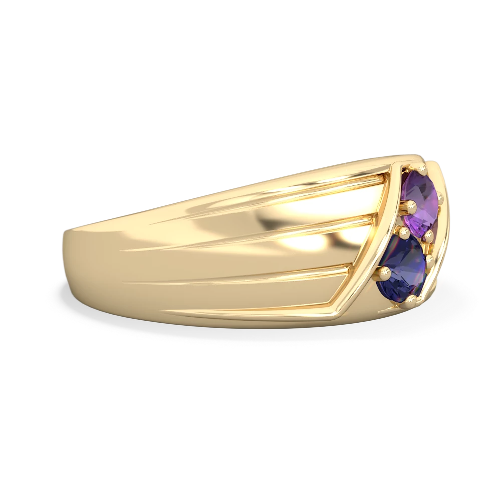 Amethyst Men's Streamline 14K Yellow Gold ring R0460