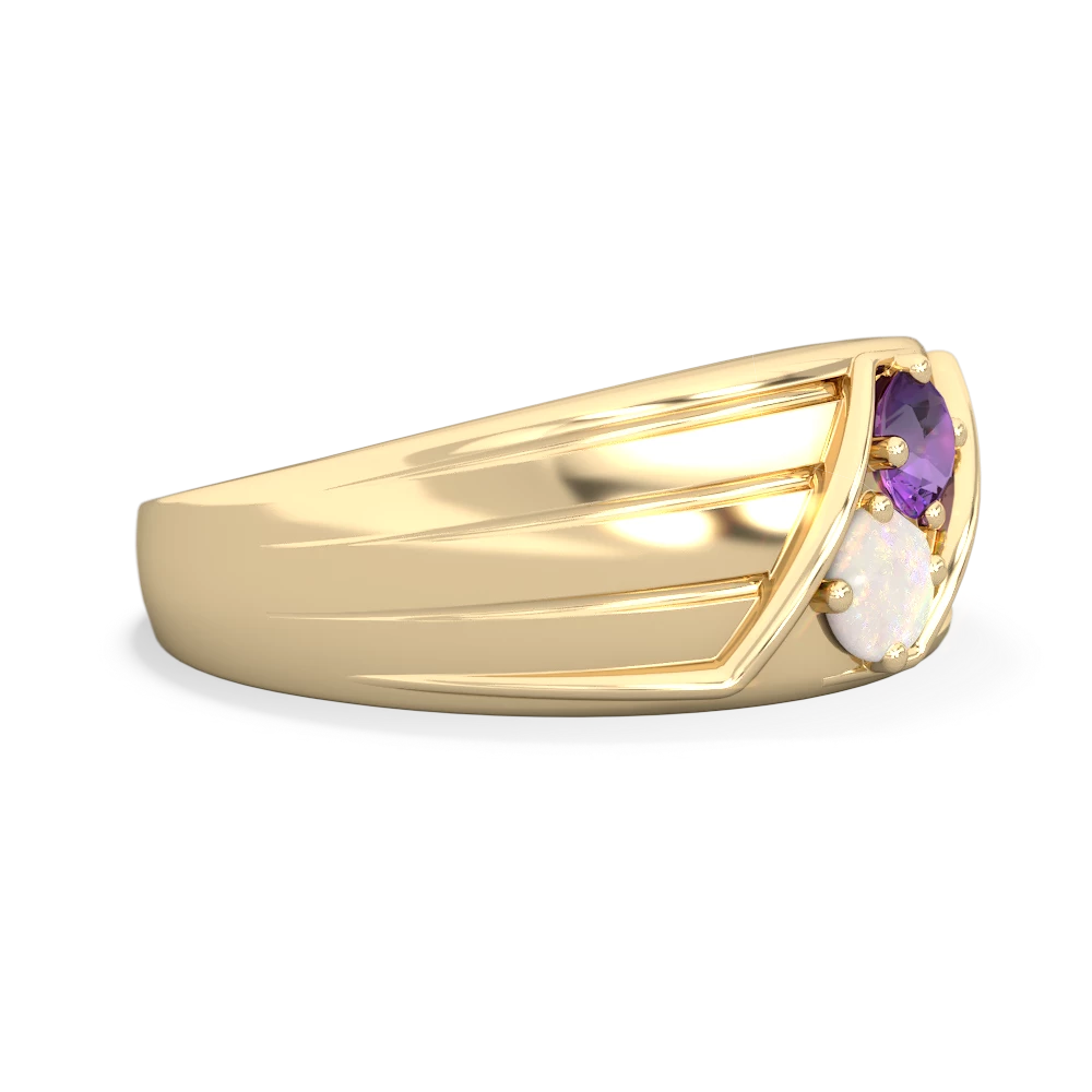 Amethyst Men's Streamline 14K Yellow Gold ring R0460