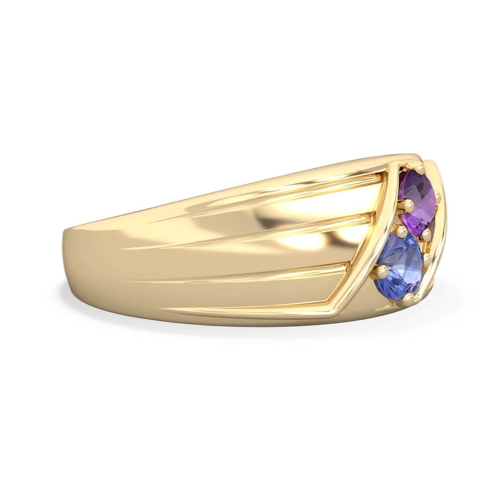 Amethyst Men's Streamline 14K Yellow Gold ring R0460