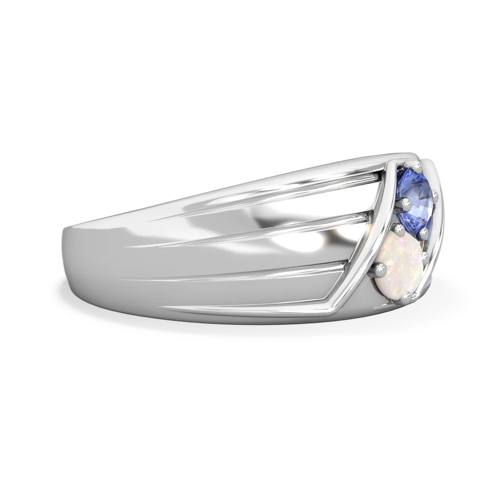 Tanzanite Men's Streamline 14K White Gold ring R0460