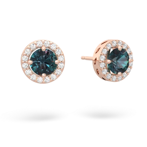 alexandrite halo earrings