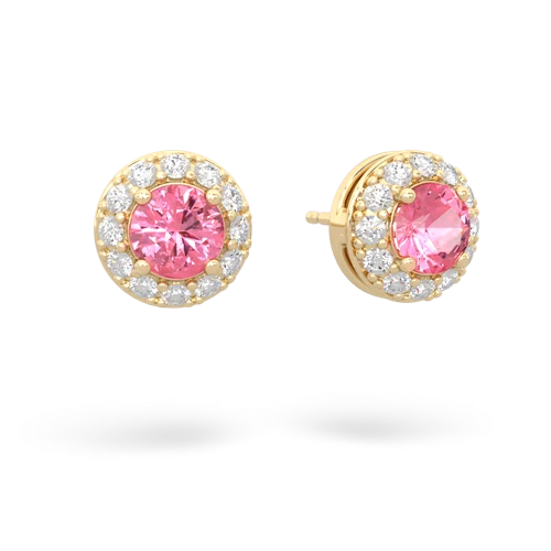 pink sapphire classic halo earrings