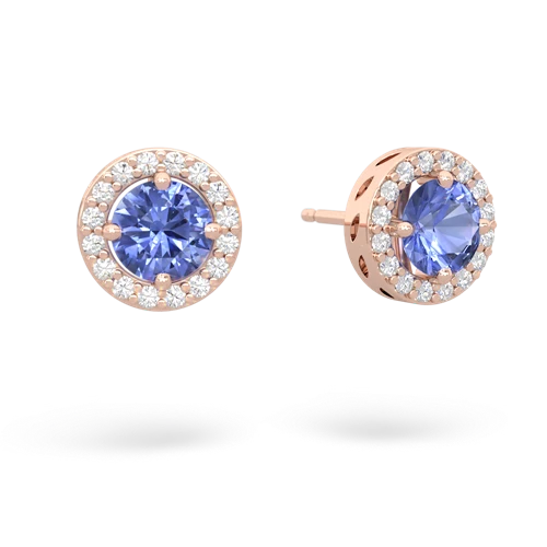 tanzanite halo earrings