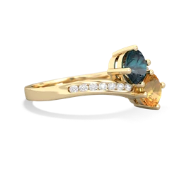 Alexandrite Channel Set Two Stone 14K Yellow Gold ring R5303