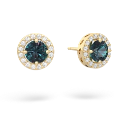 Alexandrite Halo 14K Yellow Gold earrings E5320