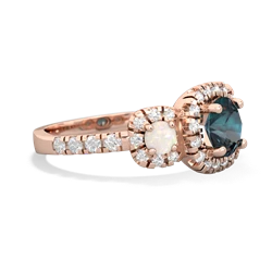 Alexandrite Regal Halo 14K Rose Gold ring R5350