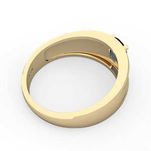 Alexandrite Men's Two Lane 14K Yellow Gold ring R0363