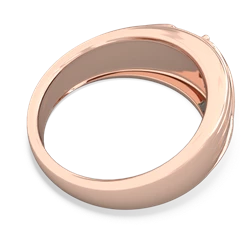 Alexandrite Men's Streamline 14K Rose Gold ring R0460