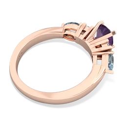 Amethyst 6Mm Round Eternal Embrace Engagement 14K Rose Gold ring R2005