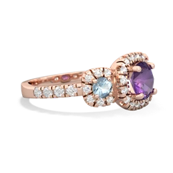 Amethyst Regal Halo 14K Rose Gold ring R5350