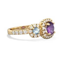 Amethyst Regal Halo 14K Yellow Gold ring R5350