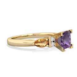 Amethyst 6Mm Princess Eternal Embrace Engagement 14K Yellow Gold ring C2002