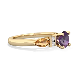 Amethyst 6Mm Round Eternal Embrace Engagement 14K Yellow Gold ring R2005