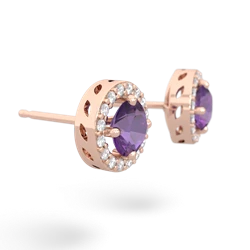 Amethyst Halo 14K Rose Gold earrings E5320