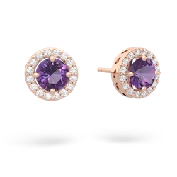 Amethyst Halo 14K Rose Gold earrings E5320