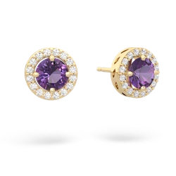 Amethyst Halo 14K Yellow Gold earrings E5320