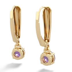 Amethyst 5Mm Round Lever Back 14K Yellow Gold earrings E2785