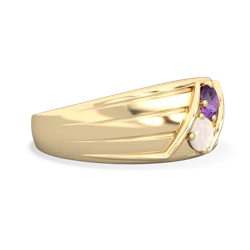 Amethyst Men's Streamline 14K Yellow Gold ring R0460